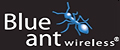 Blue Ant logo