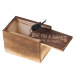 April Fool Toys Alligator in Wooden Box