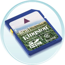 Secure Digital High Capacity-8GB SDHC Class 2 Flash Card (SD28GB)