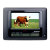 7" Polaroid XSA-00770S 32MB Widescreen Digital Photo Frame w/Built-In Weather Station (Black)