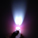 Mini Pig 2 LEDs Flashlight
