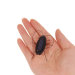 Cute Solar Powered Cockroach - Black