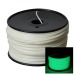 Glow in the Dark Green 3D Printing 1.75mm ABS Filament Roll – 1 kg
